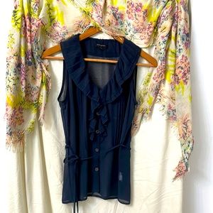 Banana Republic blue sheer blouse